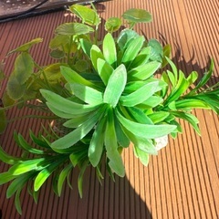 水槽一式の画像