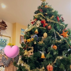 クリスマスツリー全長約2メートルの画像