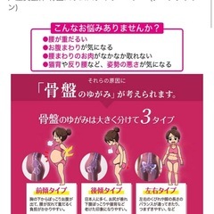 骨盤スリムスタイリーエアー　の画像