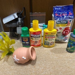 Tetra水槽とおまけセット 310✖️240✖️190の画像