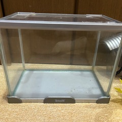 Tetra水槽とおまけセット 310✖️240✖️190の画像