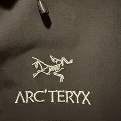 ARC'TERYX アークテリクス アルファsv ジャケットの画像