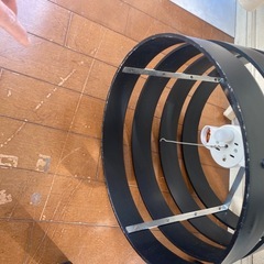 天井証明の画像