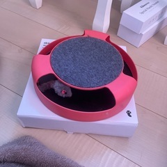 猫　オモチャの画像