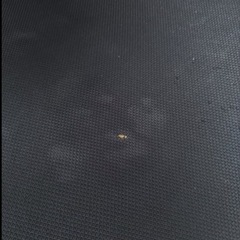 オカムラエスクード オフィスチェア／機構動作良好／カバー付き の画像