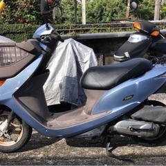 ディオチェスタ 原付①の画像