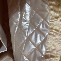 リボンバッグの画像