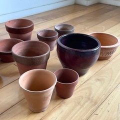 植木鉢 小鉢 まとめて　の画像