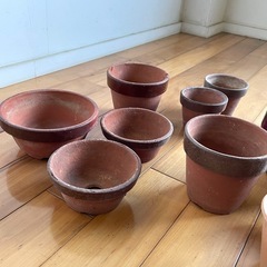 植木鉢 小鉢 まとめて　の画像