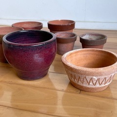 植木鉢 小鉢 まとめて　の画像