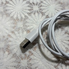 アンカー　Lightningケーブルの画像