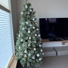 クリスマスツリーの画像