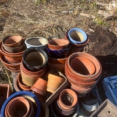 ★鉢 植木鉢★の画像