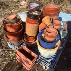 ★鉢 植木鉢★の画像