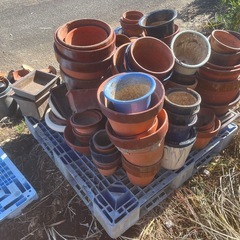 ★鉢 植木鉢★の画像