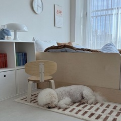 マッシュルームランプ ライト リプロダクト品の画像