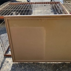 外犬 小屋の画像