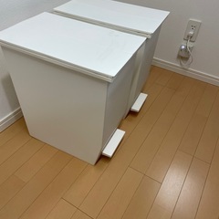 45L・踏むタイプ・2個セットの画像
