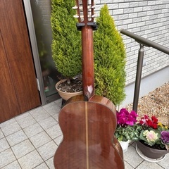 YAMAHA CG-150SA 単板モデルの画像