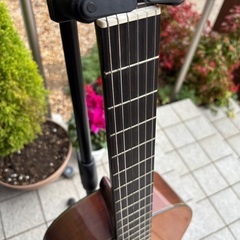 YAMAHA CG-150SA 単板モデルの画像