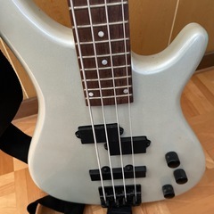 ベース　（ケース、ストラップ、シールド付き）　PHOTOGENICの画像