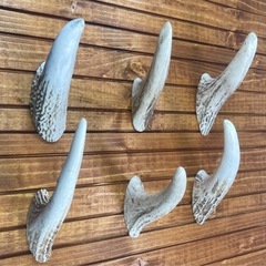 鹿の角壁掛けフックの画像