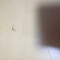 こたつテーブルの画像