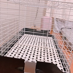 SANKO うさぎイージーホーム　80サイズの画像