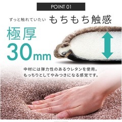 ラグマット、カーペットの画像