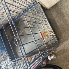 犬のゲージの画像