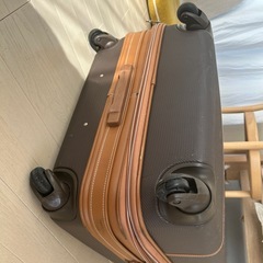 (受け渡し中)デルセーDelsey スーツケースの画像
