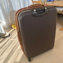 (受け渡し中)デルセーDelsey スーツケースの画像