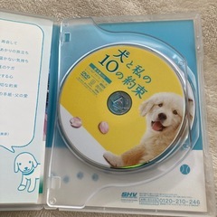 田中麗奈さん主演のD V D　の画像