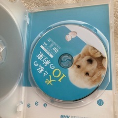 田中麗奈さん主演のD V D　の画像