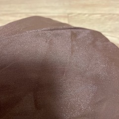 光沢のあるスカートの画像