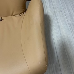 テディハグの画像