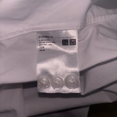 シャツ①の画像