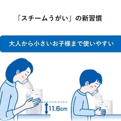 新品未開封　パナソニック　スチーム　の画像