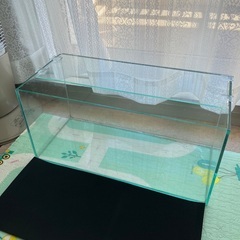 45センチ　水槽　GEX ジェックス グラステリアスリムの画像