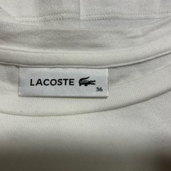 ラコステ Tシャツの画像