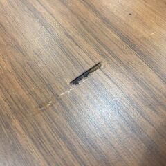 【愛品館 市原店】ヤマダホールディングス　ダイニング5点セットの画像