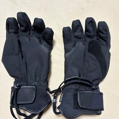 スノーグローブの画像