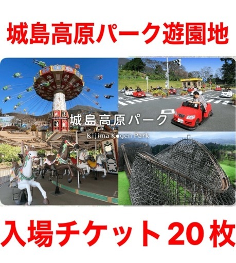 城島高原パーク 遊園地入場券20枚 有効期限2026/6/30迄 (ころたん