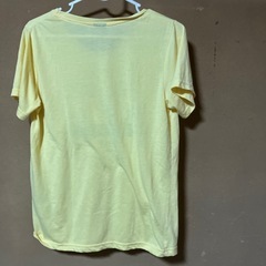 レディースＴシャツの画像