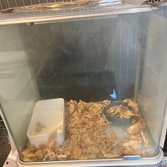 水槽用品　LED、フィルター、ヒーター 色々まとめての画像