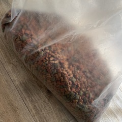 キャットフード 猫餌の画像