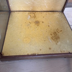 ガラスのケースの画像