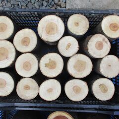 丸太・ 欅(ケヤキ) の広葉樹 / 重い・堅い・重厚感が違いますの画像