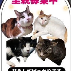 🌳🪵甘えん坊達募集中🌳🪵