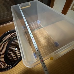 【決定】クリアケースセットの画像